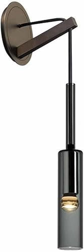 Creative Smoke Gray Glass Wall Light Beer Bottle Crystal Glass Wall Lamp Cylindrical Long Tube Wall Sconce Brass Adjustable Height Wall Mount Lighting for Bedroom Living Room Hallway,1-Pack