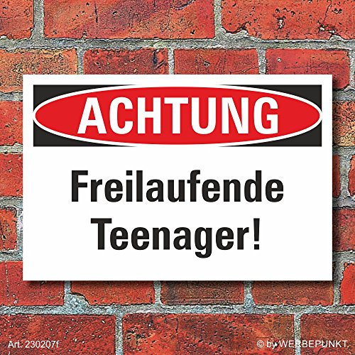 Schild Achtung Freilaufende Teenager Geburtstag 450 x 300 mm