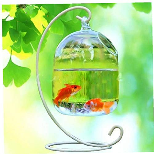 Hanging Fish Tank Creative Fish Vase Glass Transparent Goldfish Bowl for Home Decoration with Bracket No Shelf 1pc