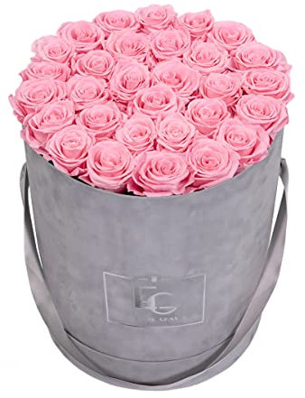 EMMIE GRAY CLASSIC INFINITY ROSENBOX | VELVET GRAY | Runde Flowerbox - Infinity Rosen in grauer Samtbox - 1-3 Jahre Haltbarkeit - Echte Rosen, die jahrelang blühen - Haltbare Rosen (L, Bridal Pink)