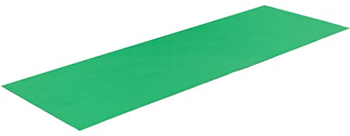 Manfrotto Banda de Suelo de Vinilo 1,37 m x 4 m Chroma Key Verde - Pantalla Verde - Bandas Modulares - Mate - Rollo Compacto - Resistente - Fácil de Limpiar - Inarrugable - Reutilizable - LL LB7965
