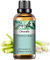 PHATOIL Huile Essentielle Citronnelle 30 ml, Huile Essentielle pour Diffuseur, Huile de Citronnelle Pure Naturelle pour Aromathérapie Humidificateur