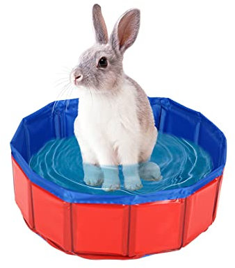 Piscina plegable para perros pequeños, diámetro 50 cm, altura 8 cm, piscina plegable para perros (50 cm de diámetro, 8 cm de altura, A)