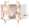 JeweBella Stern Ohrringe Silber 925 Damen Mädchen Hypoallergene Stecker Klein Silber/Gold/Roségold Gesundheitsstecker Kinder Schmuck Geschenke