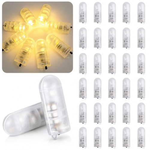 30 Stück Mini LED Licht,Micro LED Licht,Mini LED Puppenhaus,Mini LED Lichter für Puppenhäuser,Mini Lichter zum Basteln,Micro LED Lichter für Spielzeug Bausteine,Vitrinen,Puppenhaus Beleuchtung