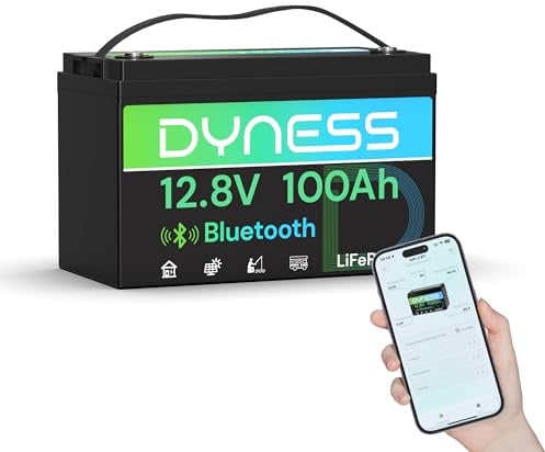 Dyness Batteria LiFePO4 12V 100Ah Bluetooth, Batteria al Litio con BMS 100A, Protezione a Basse Temperature, per Nautica, Camper, Impianti Solari off-grid