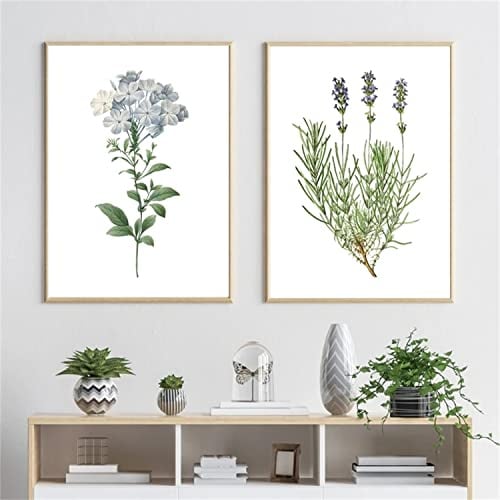 Sarah Duke 2er Premium Poster Set, Kunst-Vintage-Poster Druck Botanische grüne Pflanzen Blätter Blume Bilder Poster, Wandbilder Wohnzimmer Deko, Ohne Rahmen (21x30cm)