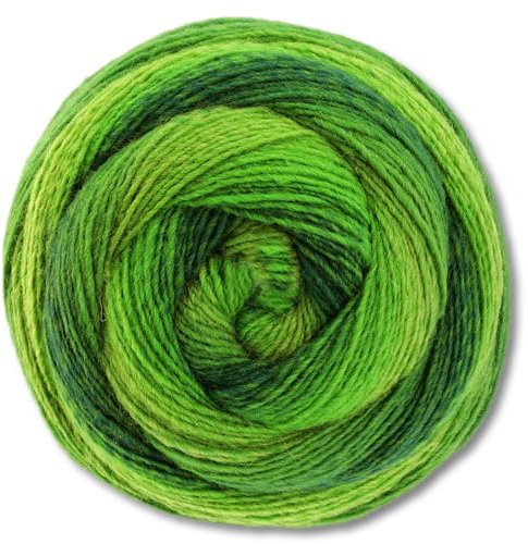Frida's Wollhaus Lana Grossa 200 g Gomitolo Versione Schurwolle Dochtgarn Farbverlauf 12 Farben (447)