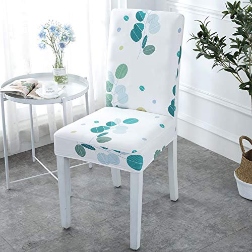 Stuhlhussen Weiß Mintgrün Stuhlüberzug Weich Spandex Stuhlhussen Schwingstühle Stuhlbezug Waschbar Stuhl überzug Abnehmbare Stuhlbezüge mit Gummiband Hussen für Stühle Stuhlhussen 4er Set