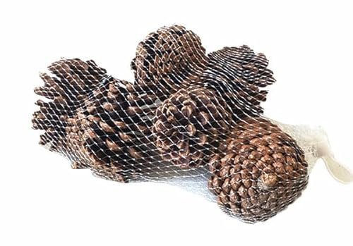 Vimin Box Lange Tannenzapfen 9/10 cm Natural 6 Stück