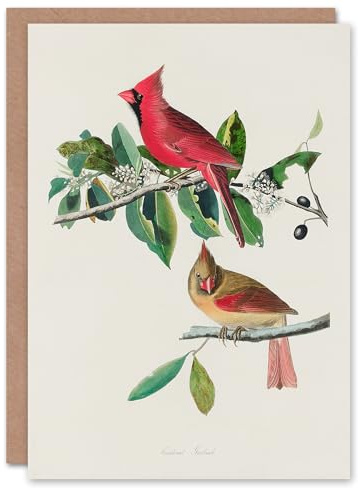 Artery8 John James Audubon Art Card Cardinal Grosbeak Bird