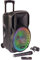 Party Light & Sound - PARTY-12RGB - Altavoz a Pilas de 12/30cm 700W con 1 micrófono VHF inalámbrico y Efecto de luz en el woofer - Bluetooth, USB, Micro SD y AUX - Negro