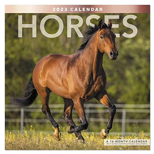 Mead LME1591023 Wandkalender 2023, Pferde, 16 Monate, 30,5 x 30,5 cm