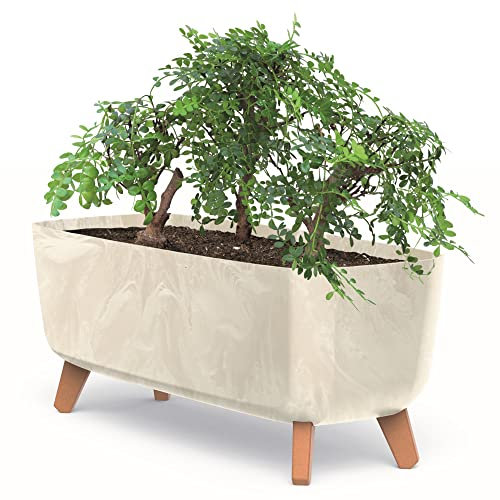 botle Blumentopf an den Füßen Töpfe Pflanzkübel 39 cm Breite Cremig Kunststoff Blumenkasten mit Einsatz Beton Optik Übertöpfe Geldbaum Kakteen Gummibaum