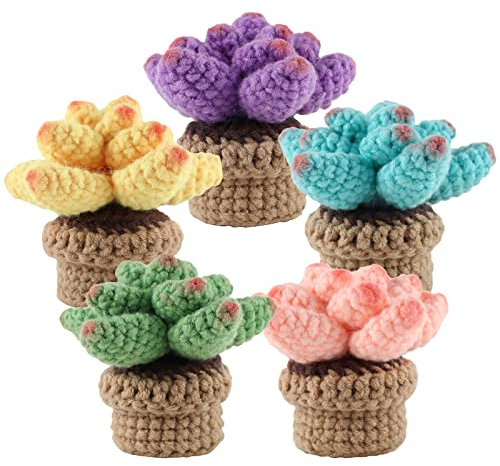 Sukkulenten Häkelkit Süßes Sukkulenten Pflanzen-Strick-Set 5 Sukkulenten Häkeln Anfänger DIY Starter Kit Lustige Häkelstrickkit mit Schritt-für-Schritt-Video-Tutorial für Anfänger BOBASH