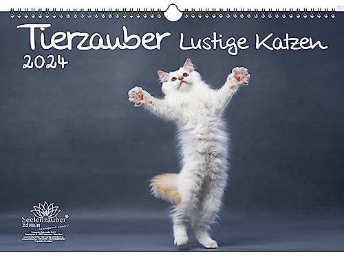 Tierzauber lustige Katzen DIN A3 Kalender für 2024 Lustige Katzen - Seelenzauber