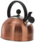 Cabilock 1 Pc Bollitore Di Clacson Bollitore Per Il Teiera Sonora Bollitore Per Tè e Bollitore Sicuro Per Piano Cottura Bollitore Per Acqua Calda Istantanea Acciaio Inossidabile