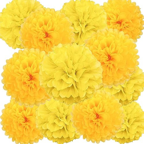 We Moment Zone 12 Stück Papier Pompons Set,Gelb Tissue Pom Poms Papier für Hochzeit,Geburtstag,Party- 30,5 cm, 25,4 cm