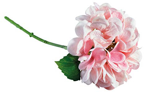 Rayher Branche d’Hortensia artificiel, matériaux mixtes, 33 cm rosé, 55906258