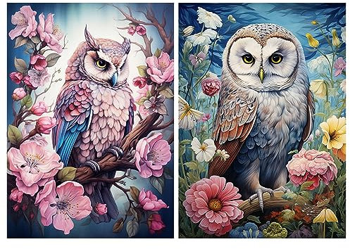 YOYA 2 Pack Eule Diamant Malerei Kits, Eule Diamant Kunst für Erwachsene, DIY Eule Diamant Malerei, Full Drill Eule Diamant Punkte für Home Wall Decor 30,5 x 40,6 cm