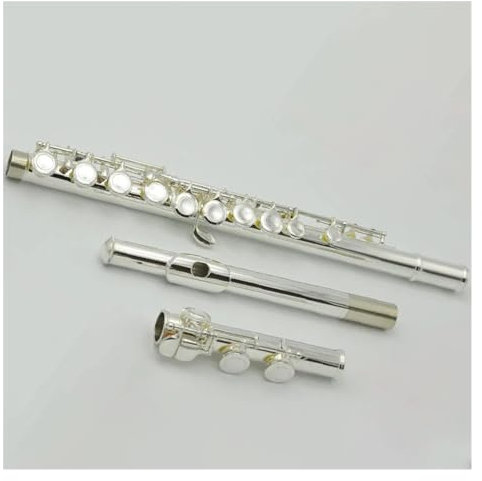 16 Löcher, Offene Löcher, Für Erwachsene, Weißkupfer, Versilbert, Flöteninstrumente Mit Koffer Und Zubehör Querflöte für Anfänger