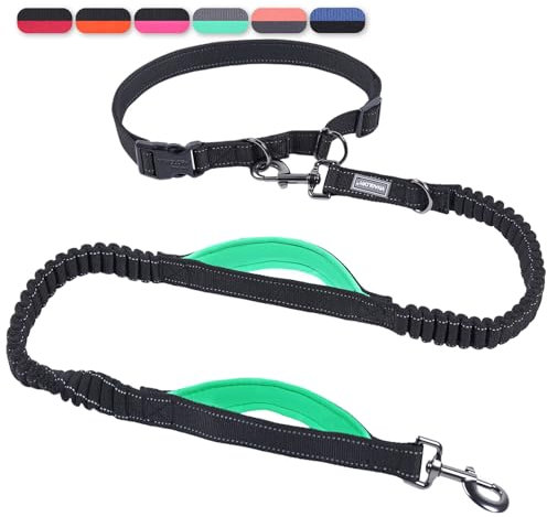 VIVAGLORY Joggingleine Hunde Bungeetwin Hundeleine Joggen, Laufleine mit Schlaufe & Gepolstertem Griff für Hausleine Joggingleine, Bungee & Gummizug für Hunde, M, Schwarz/Türkis