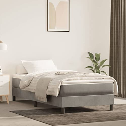 Homgoday Boxspringbett mit Matratze Bettgestell Rahmenbettgestell ohne kopfteil Einzelbett | Doppelbett Rahmenbettgestell Bettrahmen für Schlafzimmer Hellgrau 100x200 cm Samt