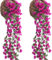 KiKiHong 2 Pezzi Fiori Artificiali Pendenti 85 cm,Fiori Artificiali da Interno per Matrimoni,Home Decor,Giardino(Rosso-Viola)