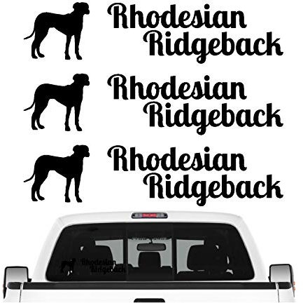 siviwonder Rhodesian Ridgeback RR Aufkleber 3er Set Hundeaufkleber Hundemotiv Hund Folie Farbe Schwarz, Größe 20cm