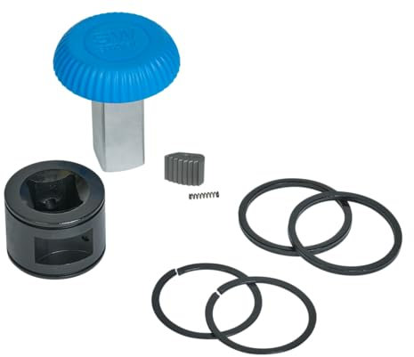 SW-Stahl 03884L-R Reparatursatz Ratschenmechanismus 1/2 Zoll I Ratschen-Reparatur Set für Drehmomentschlüssel 03884L und 03885L I Reparatur-Satz für Knarrenkopf