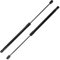 TUCKBOLD Supporti per sollevamento per Suzuki Vitara LY 2015-2019 Portellone Posteriore Molla a Gas Nera 2 Pezzi