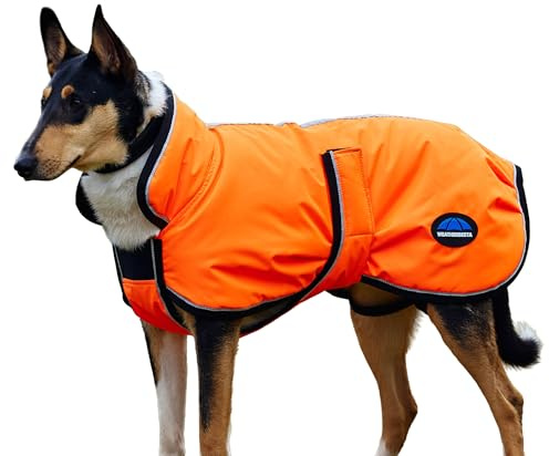 WeatherBeeta ComFiTec Reflective 300D Deluxe Showerproof Dog Coat, Orange, 60cm