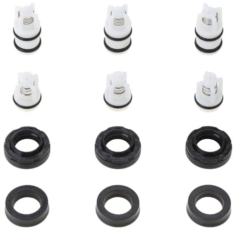 BTGHPI Valvole Ritegno Olio Tenuta della Idropulitrice Ricambio per Accessori Riparazione della Pompa Idropulitrice Ad Pressione Forniture Domestiche