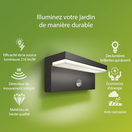 Philips Lighting Wall Lantern, Anthracite