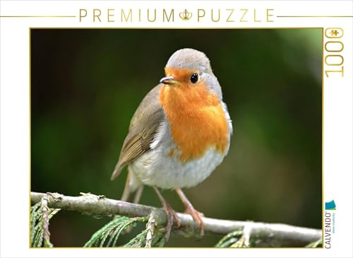 CALVENDO Puzzle Mein Kleiner Freund | 1000 Teile Lege-Größe 64 x 48 cm Foto-Puzzle für glückliche Stunden