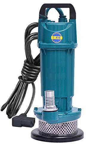 ARCH La Bomba De Agua Sumergible 48V / 60V Se Utiliza For Plantas For La Agricultura De Riego De Lavado De Coches Y De Los Hogares, Pequeña Bomba De Agua Eléctrica (Color : 1 inch-550W)