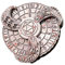 Dadi rotanti Dungeon – Drago Meccanico Dadi Dis, Roulette Dice Spinner, Dado Meccanico Dice Dice Spinner, Unique Dice Spinner Per Giochi Da Tavolo, Numeri, Modello Drago