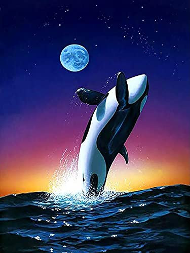 VAIIEYO DIY 5D Diamond Painting Wal, Diamant Painting Bilder Malerei Kits Tier, Malen Nach Zahlen Diamant Home Wand Decor Gemälde Kreuzstich Diamond Dekoration 30 x 40 cm