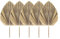 iFutniew 5 hojas de palma secas naturales, abanicos tropicales de palmera seca, decoración bohemia para el hogar, cocina, boda