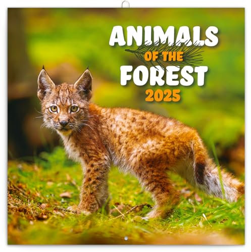 NOTIQUE Wandkalender Tiere aus dem Wald 2025 Kalender, Broschürenkalender mit Monatskalendarium, Broschurkalender Tierkalender 30 x 30 cm (30x60 Geöffnet)