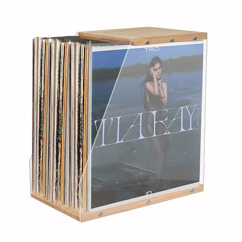 ohbien Vinyl Record Storage Holder Dustproof, 40LPs+ Capacity Wooden Vinyl Albums Display Organizer with Acrylic Board Quick Assembly Record Holder Stand for CD Books Magzines Files