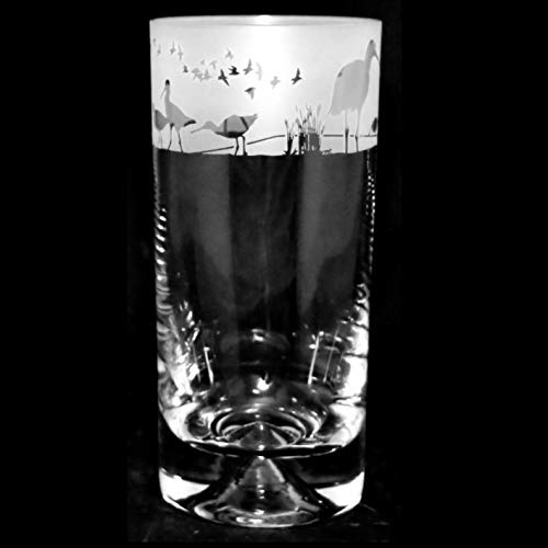 Animo Trinkglas mit Vogelmotiv