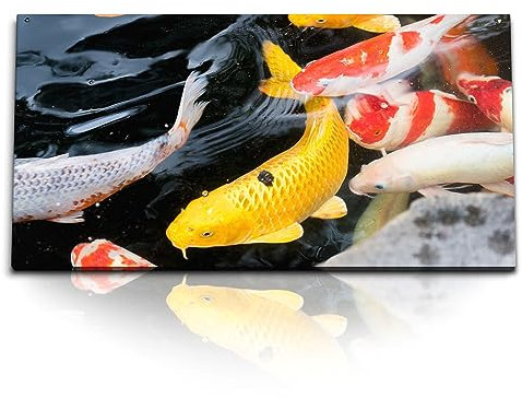 Paul Sinus Kunstdruck Bilder 120x60cm Koi Fisch Koiteich Karpfen Farbenfroh Japan