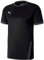 PUMA Jungen teamGOAL 23 Jersey jr T-Shirt, Black-Asphalt, 140
