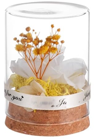 Cabilock 1pezzi Scenografica Rosa Con Cupola Decorazione Romantica Per Casa e Ufficio Creativo Per e Natale Scatola Inclusa