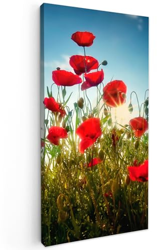 MuchoWow© Leinwand Bilder, Einzigartige Wanddeko mit Rahmen, Mohnblumen | 40x80 cm - Toskana - Sonne - Rot - Blau, Wandbilder Wohnzimmer, Deko Schlafzimmer
