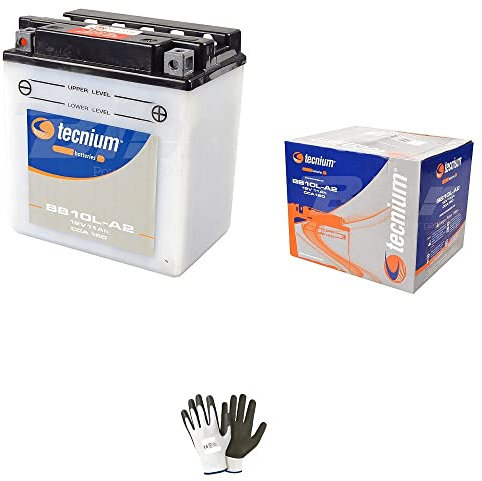 Compatible with Yamaha 250 XV Virago 1993 Battery already ready for use YB10L-A2 12V 11.0AH Batteries 11 Amps 12 Volt Specific Motorbike Scooter 135X90X145MM