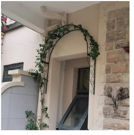 Treillis De Jardin en Forme D'arche Arche De Rosier Résistante Aux Intempéries pour Plantes Grimpantes Et Rosiers Arche D'extérieur pour Fleurs Retombantes Tonnelle Support(Blanc)