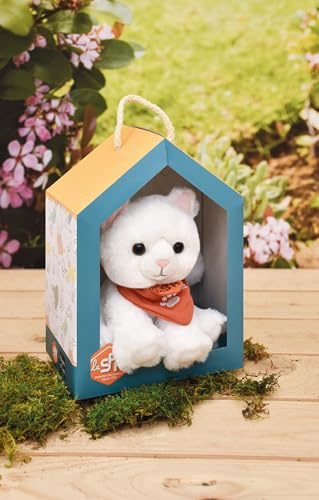 Histoire d'ours - Kleines Plüschtier Katze weiß SPA – 16 cm – Kuscheltier Katze sehr weich zum Annehmen mit schöner Box – Partnerschaft SPA – Geschenkidee für Kinder und Erwachsene – SPA-CHATBLANCMM