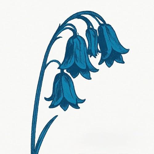 This Is The Bluebells